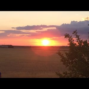 Meet your Posher, Leahana